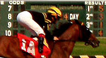horse racing tips